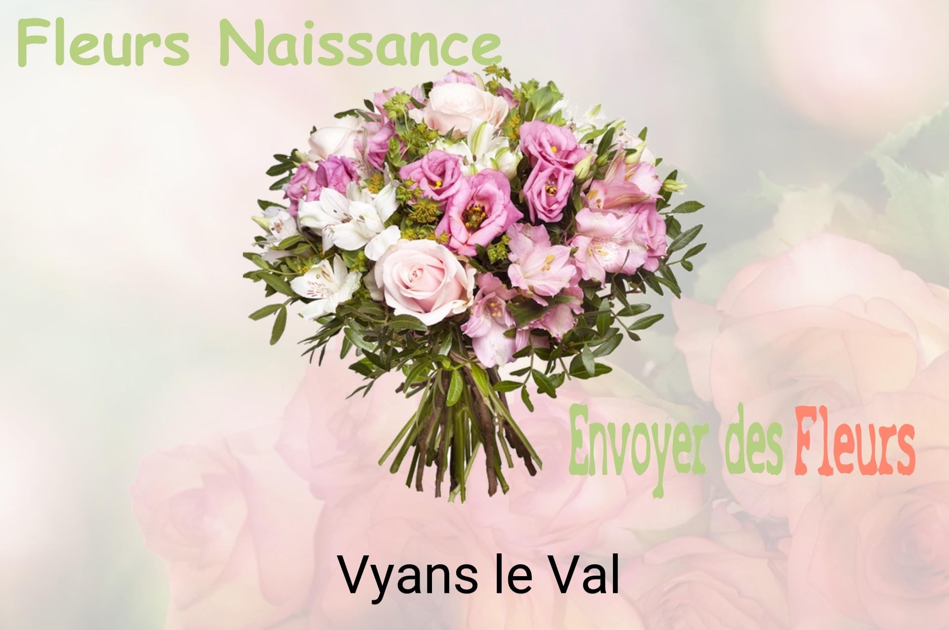 Bouquet de fleurs de naissance livré à Vyans-le-Val